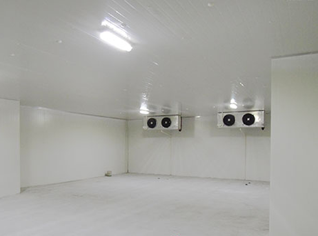 product-461-342 product-461-342